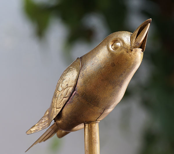Watch the birdie