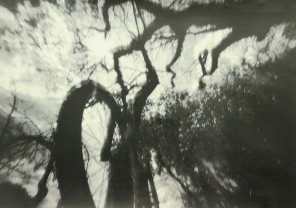 fotografia pinhole