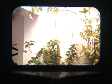 Kodak Retina Reflex III - viewfinder