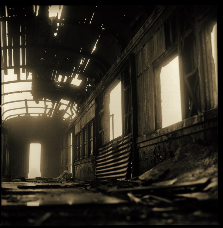 The good death | Marcello Lemos